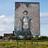 binay_dc's profile image