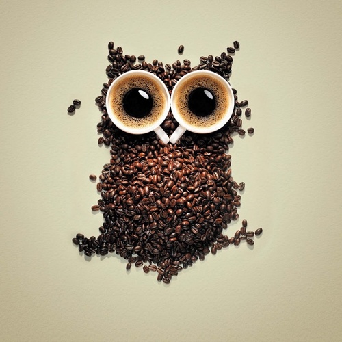 charisamc's profile picture. 