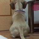 Fumi (@0521fmk) Twitter