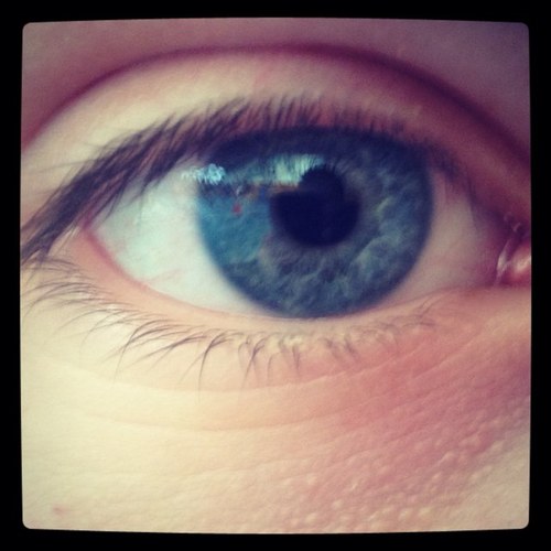 Et moi je follow back alors abonne toi à @baria6