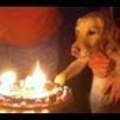 Interests: Bandy videos that do not suck.