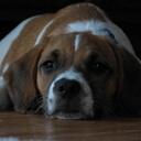 Jenna Clifton - @JennaClifton93 - Twitter