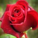 abc (@009999900) Twitter