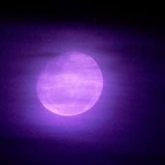 Rhythm Moon Blues