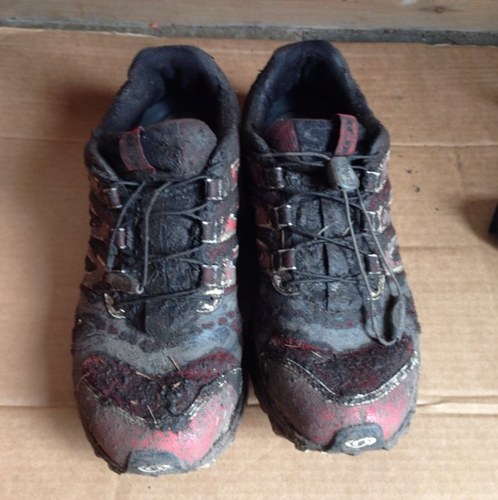 Enjoys living and breathing, Business Director, Newbie Adventure & Trail Runner, Husband to one, Father to Four