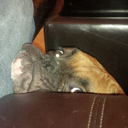 pstjohn2's profile picture. 