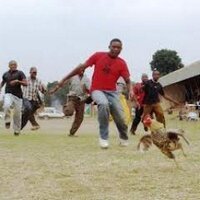 Mluhya Online (@mluhyaonline) 's Twitter Profile