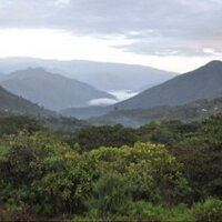 Kapel Farms (@kapelfarms) 's Twitter Profile