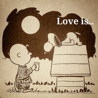 MiyuKi. (@mn2039) 's Twitter Profile