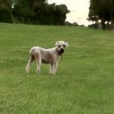 John Farmer - @Johnslk - Twitter