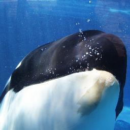 brianorca's profile picture. 