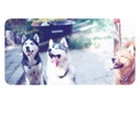 Benton Elliot - @BentonElliot946 - Twitter