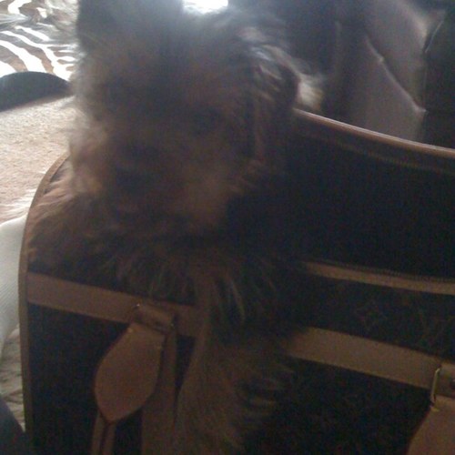 beachchairswag's profile picture. somewhere between earth and heaven  I DO NOT have FACEBOOK