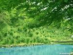 Twitterはじめました、、、とりあえず仲間を探そう！さあ冒険だ！！ｗ