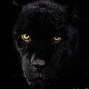 Ismael small - @Church_123 - Twitter