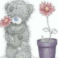 Sarnel kotze (@sarnelkotze) 's Twitter Profile