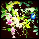 Ernie Bryan - @ErnieBryan365 - Twitter