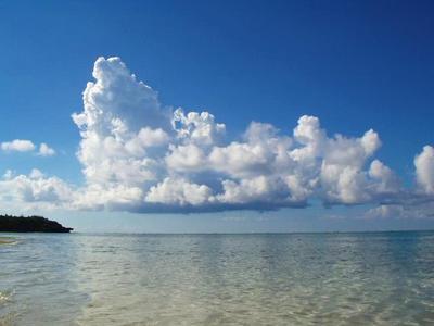 seceepigcan's profile picture. トッポは中までぎっしりチョコ入ってて好きです！