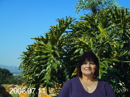 Teacher, writer of children's books, parent, gardener, science enthusiast, dreamer.