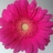 nicoleleclerc50's profile image