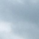 Sue Newman - @fromtheperch - Twitter