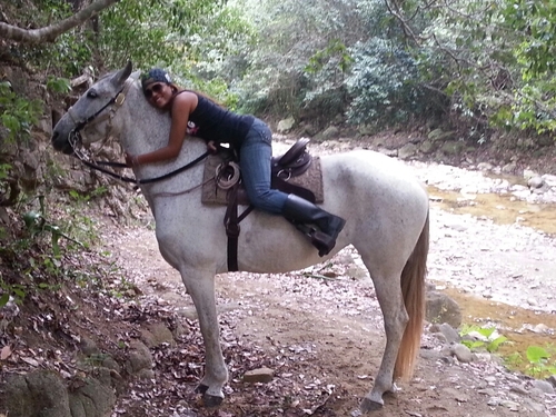 jelisol's profile picture. Co-founder 👩🏽‍🎨👩🏽‍💻 @wafflesandwichbar @semillanativaus ™️🍃 ServeSafe Food Manager©️👩🏽‍🍳👩🏽‍🔬