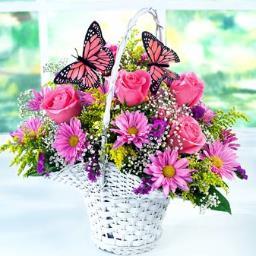 20MANAYER's profile picture. إذا أردت أن تحيا سعيداً أربط حياتك بأهداف وليس بأشخاص