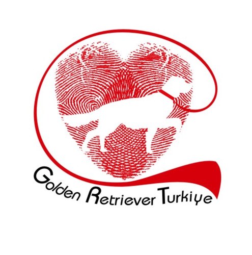Turkiye capinda Kayip, Bulunmus ve evsiz Golden Retrieverlari bir araya getirip kayiplarin ailelerine,evsizlerinde yeni evlerine kavusmasini daha hizli saglamak