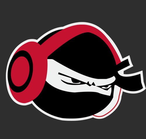 TheNinjaSings's profile picture. Just a ninja, covering stuff.