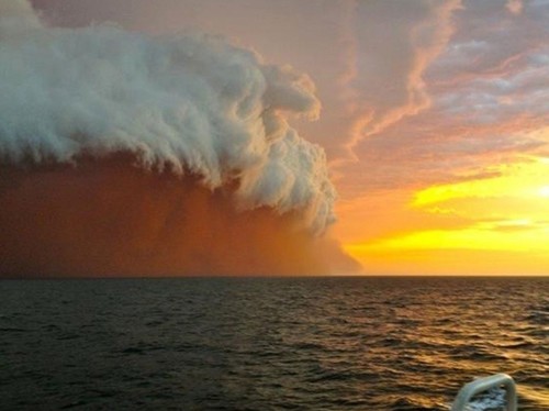 mariearnaud5's profile picture. 