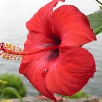 JoAnnGreco (@joanngreco) 's Twitter Profile