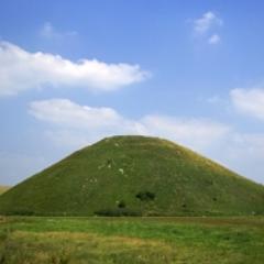 liipak's profile picture. 