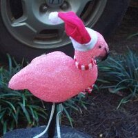 Cari (@clioclm) 's Twitter Profile