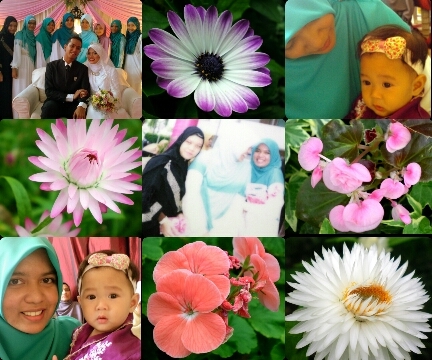 sitidyaa's profile picture. just a tiny drop in the sea of humanity....