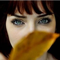Плевать я хотела на все ваши правила... У меня они свои... Вам решать принимать их или нет.