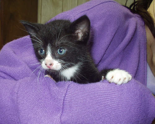 scandata's profile picture. 