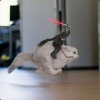 Nicolas (@mwsaz) 's Twitter Profile