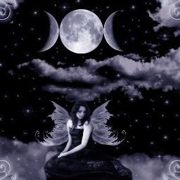 I am a Hybrid Witch and Werecat that gets stalked by 3 Vampires and an Original WereVamp. Oh and I am destined to murder my husband sometime in another life...