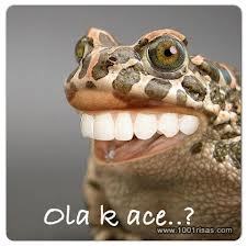 Cabras_Alocadas's profile picture. 