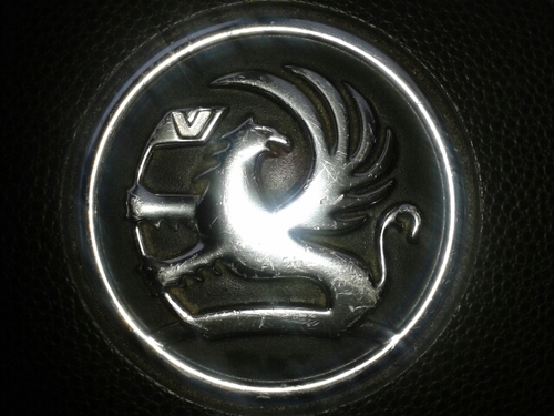 martyzaffy's profile picture. .........