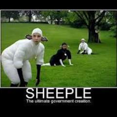 We_TheSheeple's profile picture. Guess what my account is going to be talking about.  Not Rude, just Real. Behave like sheep & wind up in a pen. Is there no others that are over it?