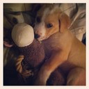 Beau Kent - @BeauKent625 - Twitter