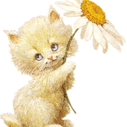 jessie_bbbb's profile picture. 