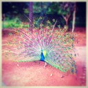 Reed Jarvis - @ReedJarvis343 - Twitter