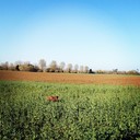 Pierre Robin - @PierreRobin364 - Twitter