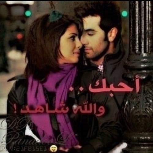 ahmed_alkaldi's profile picture. 