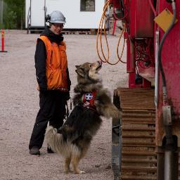 Positive reinforcement based dog training, agility, Finnish lapphunds and bordercollies. Design & User Experience. Sketch notes.