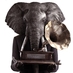 Black Elephant (@blackelephantes) Twitter profile photo