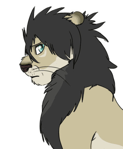 My name is Shane,I'm a lion and I'm an orphan,I don't know where I belong...@Akita_the_lion is my mate...