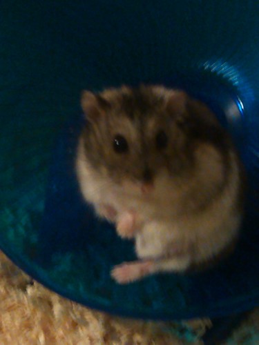 IvanAmster's profile picture. 